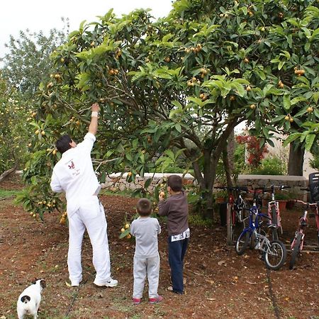 Hotel Agroturismo Can Gall Sant Joan De Labritja Zewnętrze zdjęcie