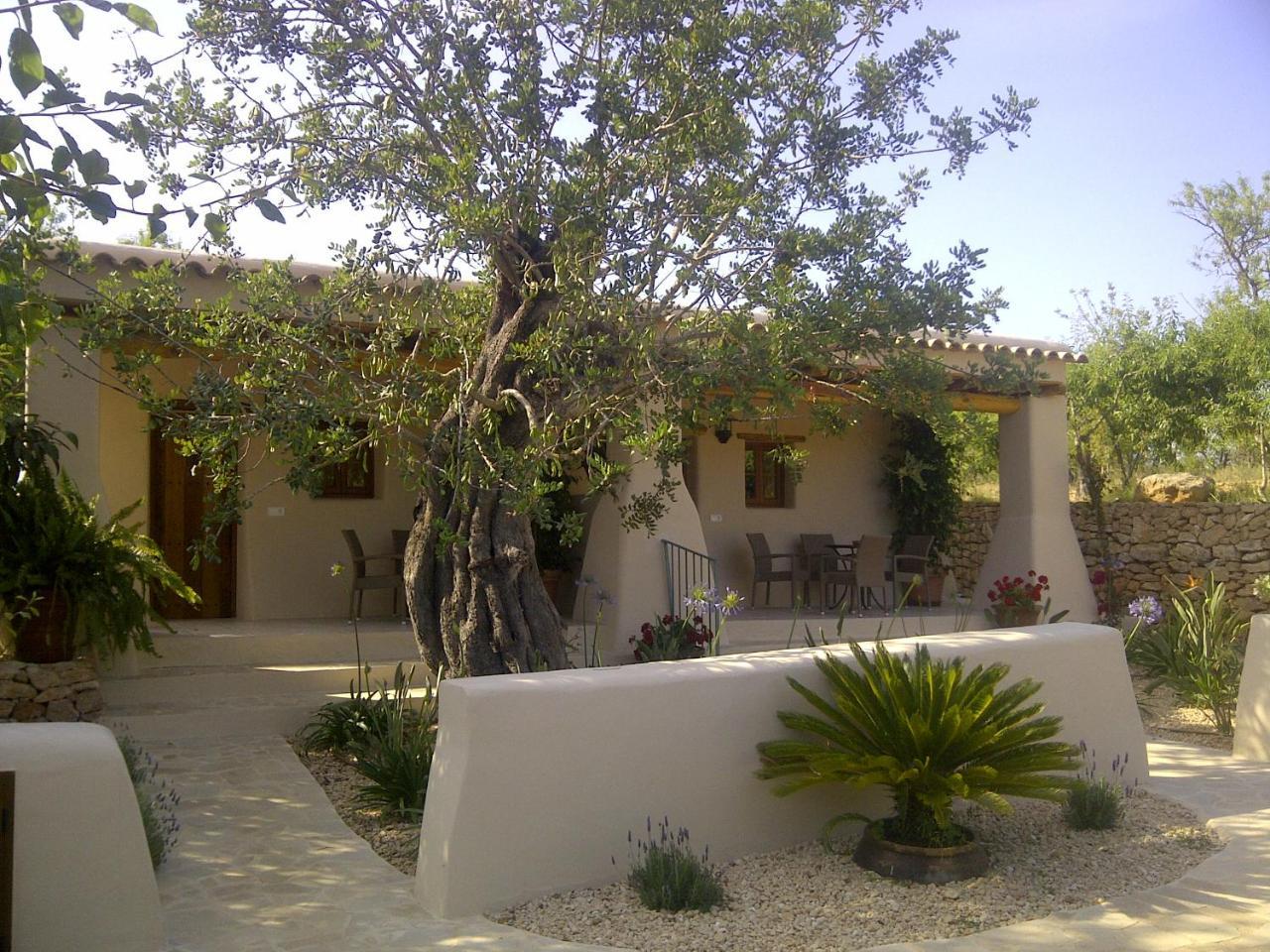Hotel Agroturismo Can Gall Sant Joan De Labritja Zewnętrze zdjęcie